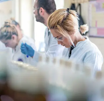 Maximize your productivity