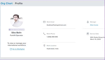 Integration with Multiplier